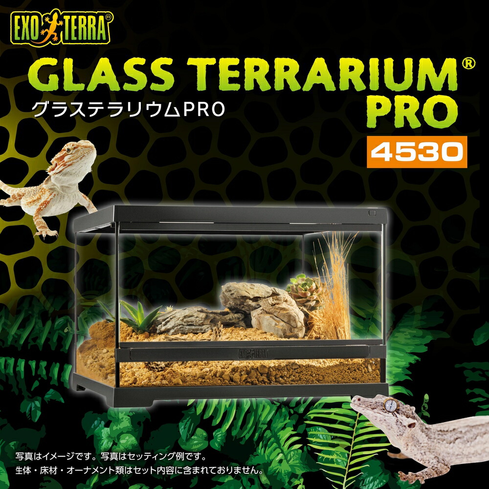 楽天市場】○【エキゾテラ】グラステラリウムPRO 4530 PT4403 EXOTERRA