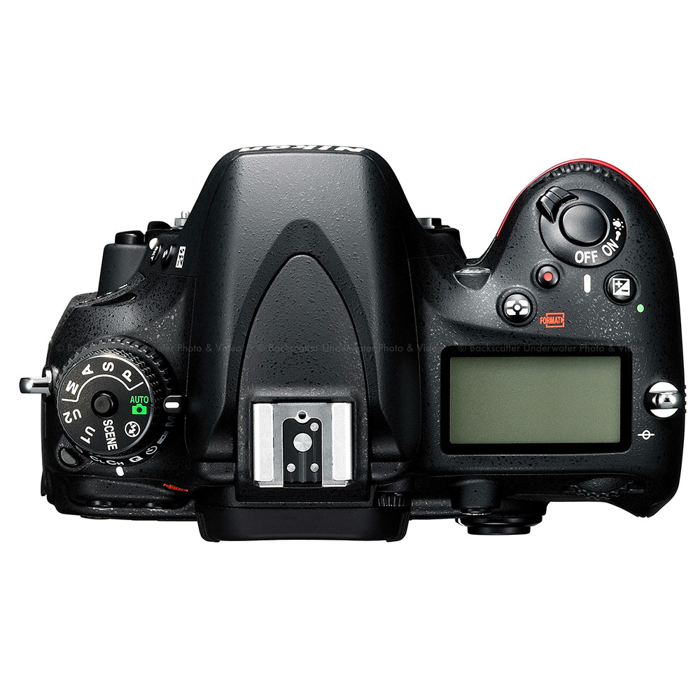 Nikon D600 Digital SLR Camera Body