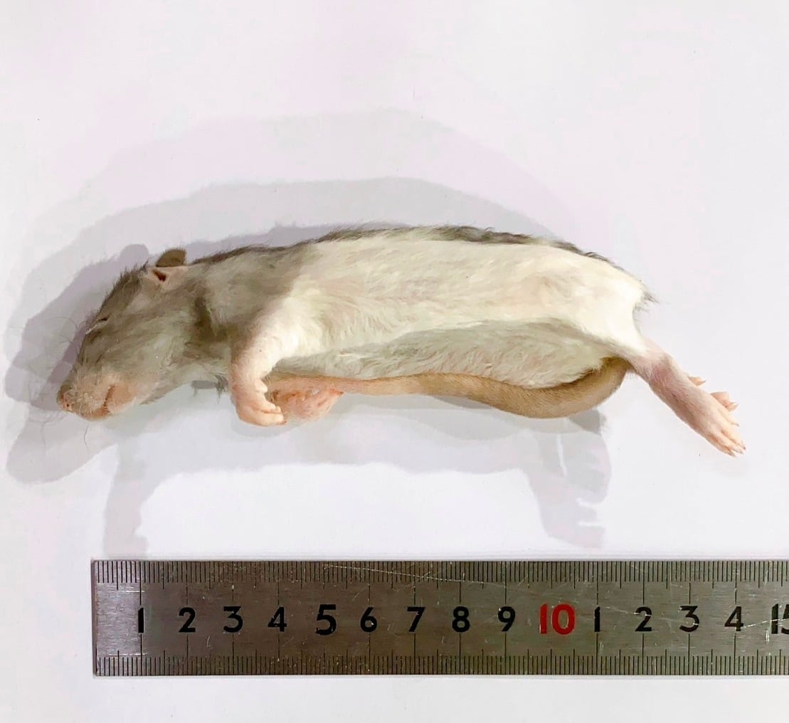 53d68907d7548a4230b92d1dac5ce4