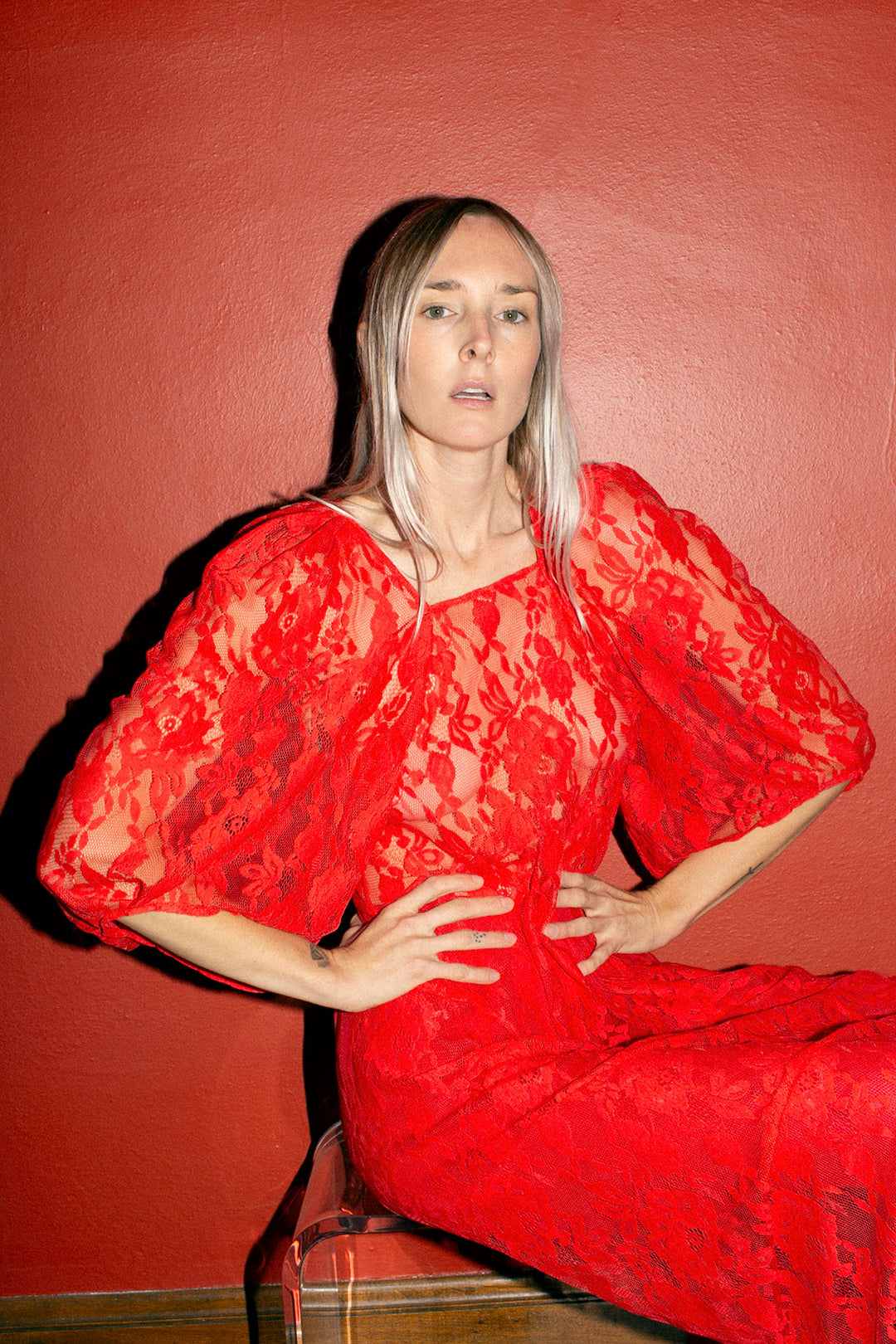 Mr. Larkin - Poppy Lace Lexi Dress – BONA DRAG