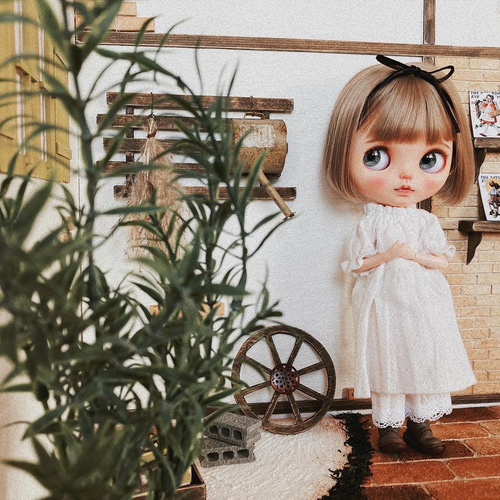 ミニチュア ドールハウス ガーデン 背景ボード 床 壁 ブライス パオラ