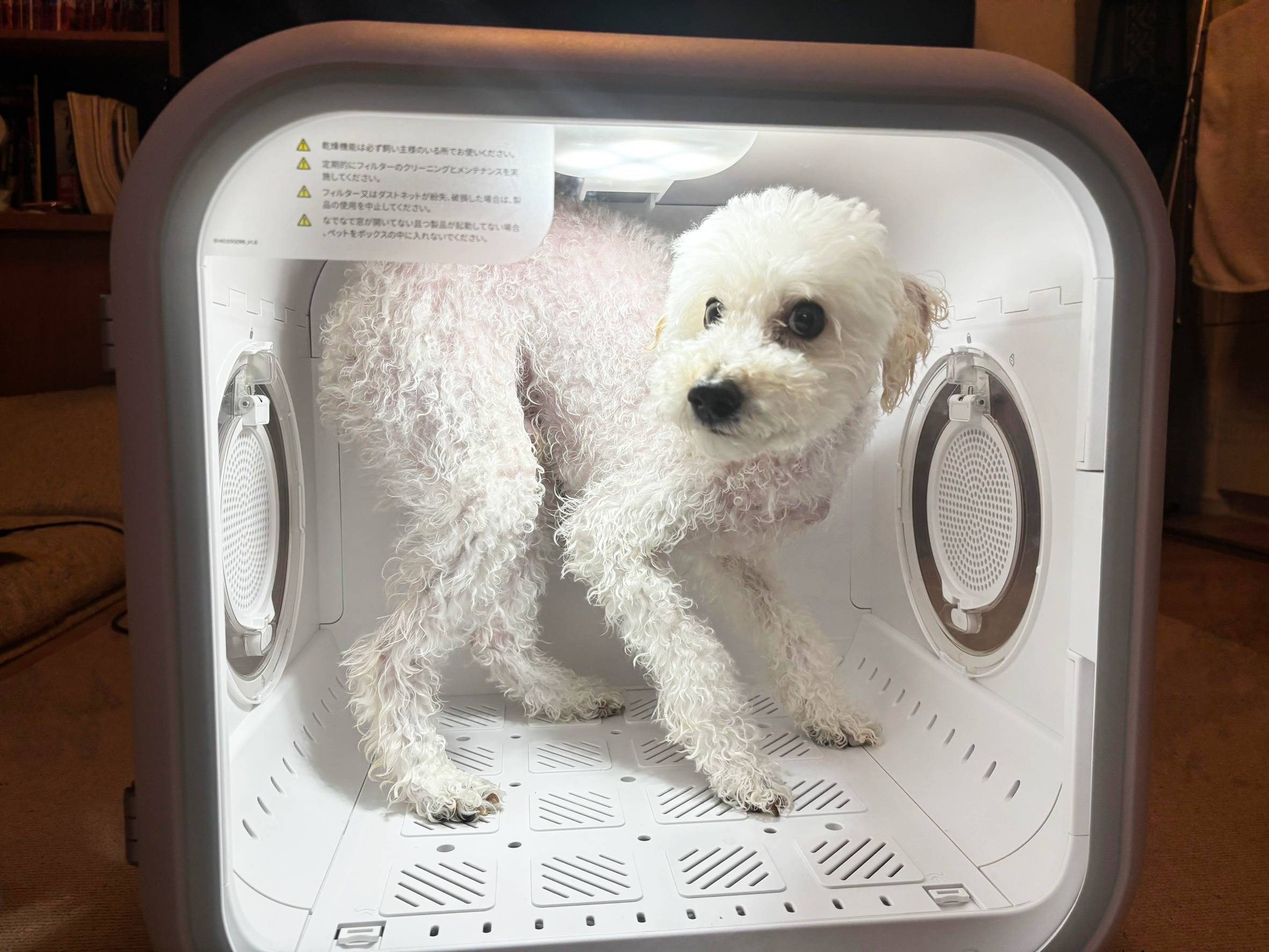 犬のドライヤーボックス「Drybo Plus」実機レビュー！使って分かった