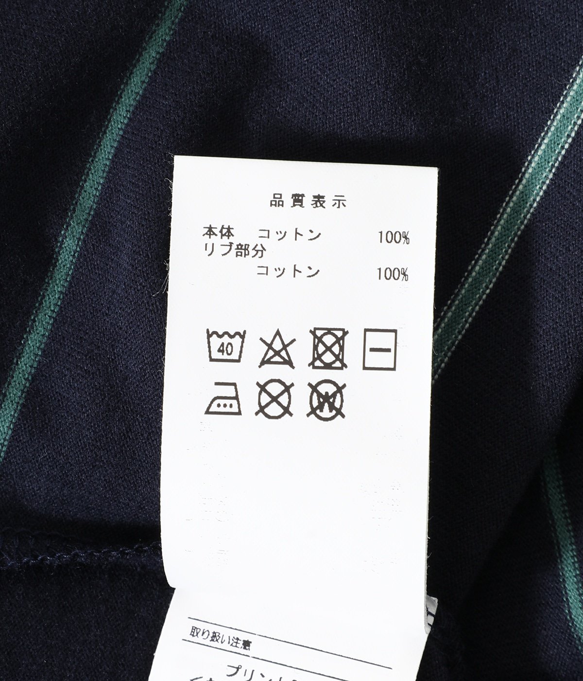 HORIZONTAL MULTI STRIPE LS | DESCENDANT(ディセンダント) / トップス