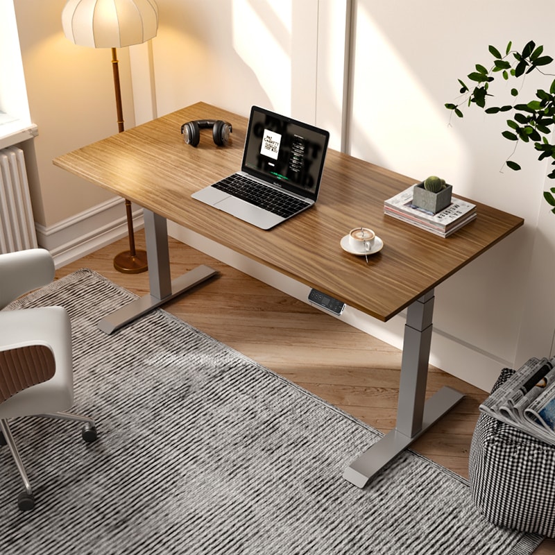 Electric Height Adjustable Standing Desk: Dual Motor Economical