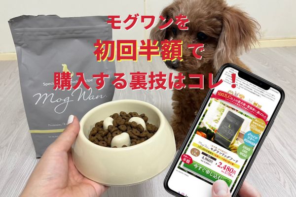 モグワンを初回半額2,728円で購入する裏技！レビューあり | INUNAVI