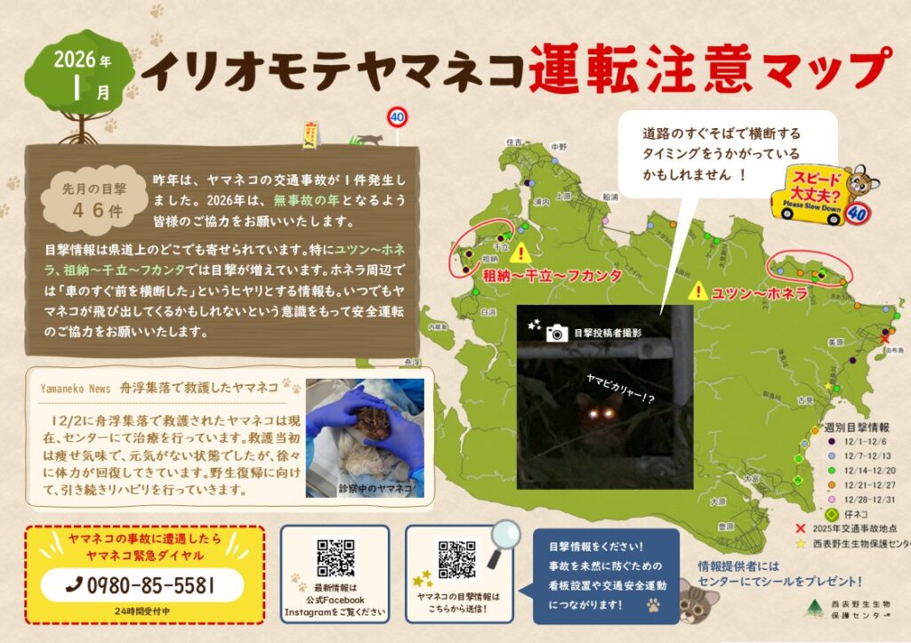 イリオモテヤマネコ運転注意マップ | 西表野生生物保護センター