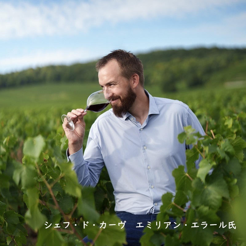 シャルル・エドシック ブリュット レゼルヴ 750ML ギフト箱入 ｜Your