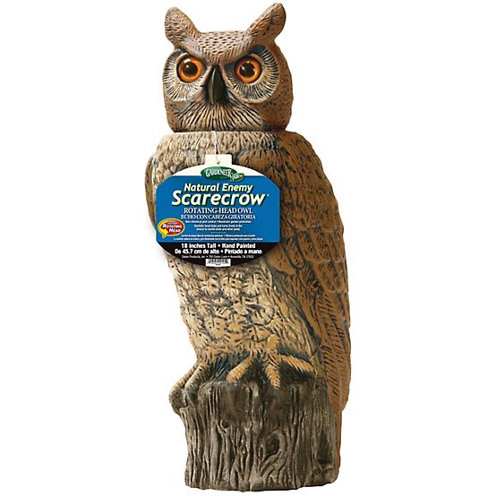 Dalen 18 in. Rotating Head Owl Animal Repeller at Tractor Supply Co