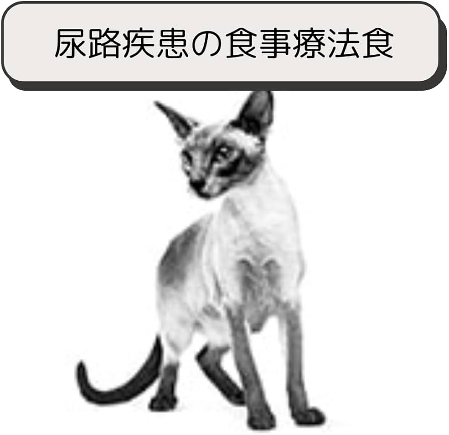 Amazon | ロイヤルカナン 猫 キャットフード ユリナリー S/O オル