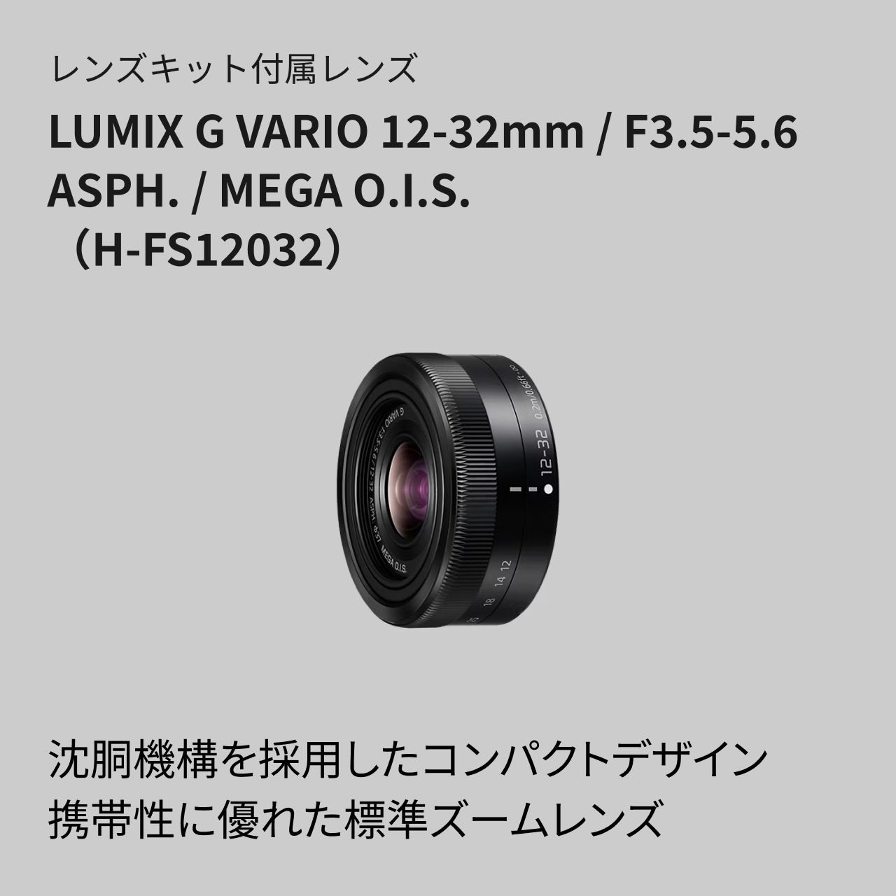 購入 デジタル一眼カメラ/レンズキット DC-G100DK | LUMIX（ルミックス