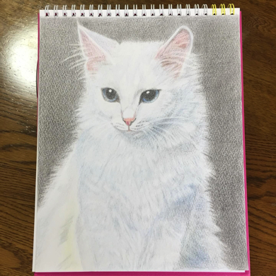 ←色鉛筆画を始めた当初 1年後→ 「こんなに変わるんですか？」 あまり