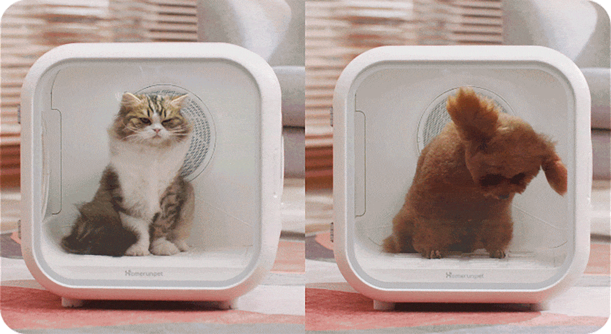 うとうとするほど心地よい、ペット用ドライヤーハウス「Drybo Plus