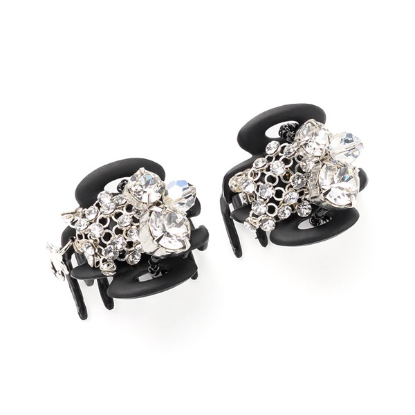 ライトメッシュ ホイップクリップ2個セット(ブラック) | ホイップ