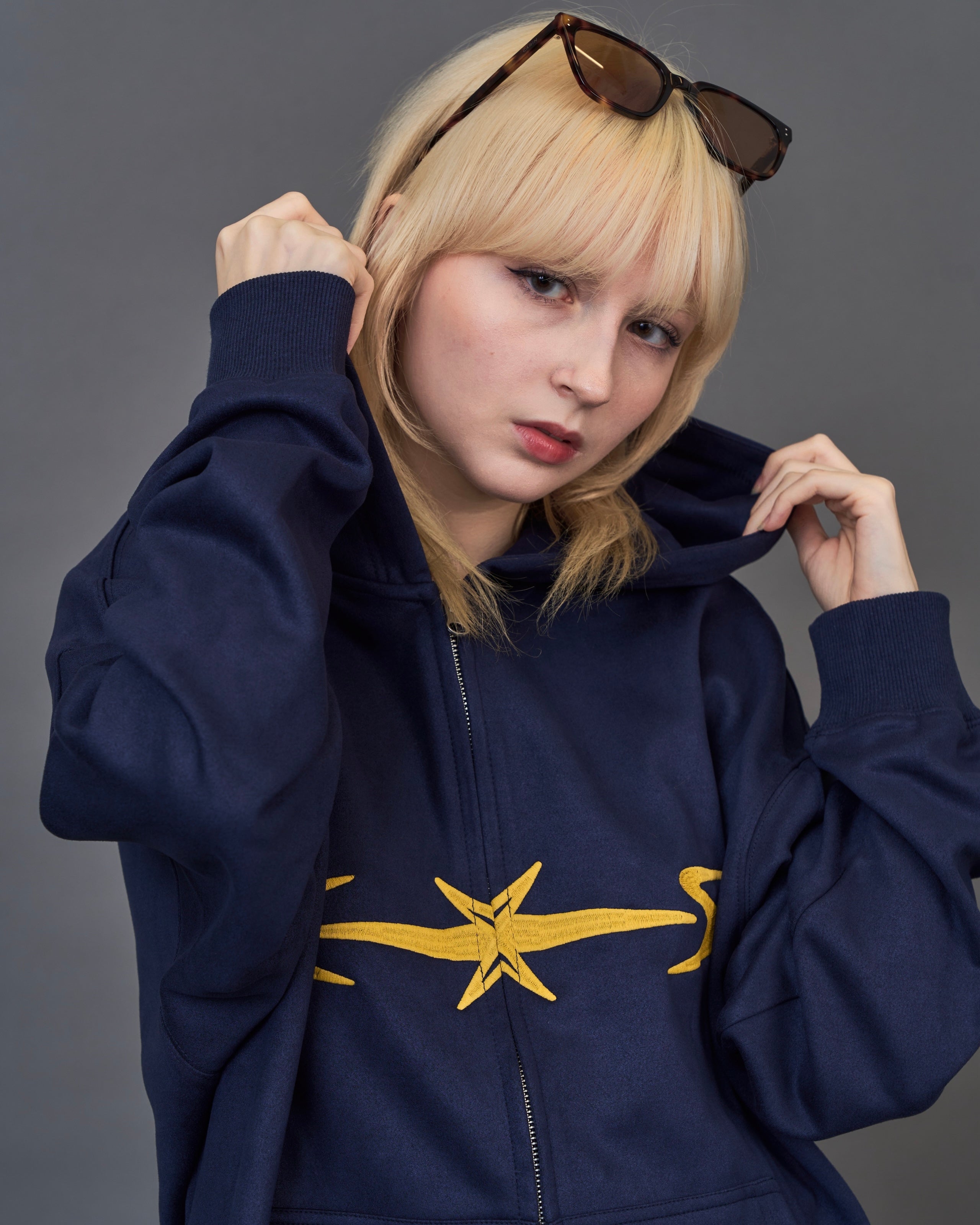 スターストライプ ジップパーカー / Star Stripe Zip Hoodie SL0061