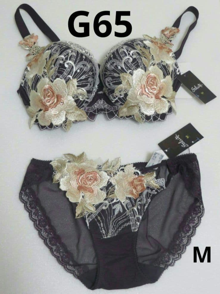 サルート29G G65 ブラジャー ノーマルショーツ M 店舗限定 新品 ワコール サルート 店舗限定 29G ブラジャー F65 ショーツM