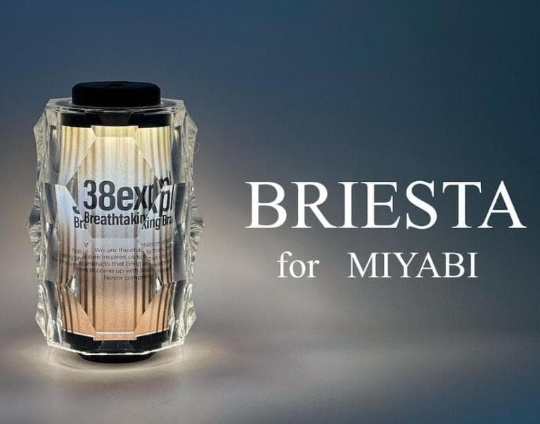 BRIESTA ブリエスタ 38灯 MIYABI NUTS OUTDOOR BRIESTA38灯 LEDライトカバー ナッツ NUTS ブリエスタ BRIESTA 38灯