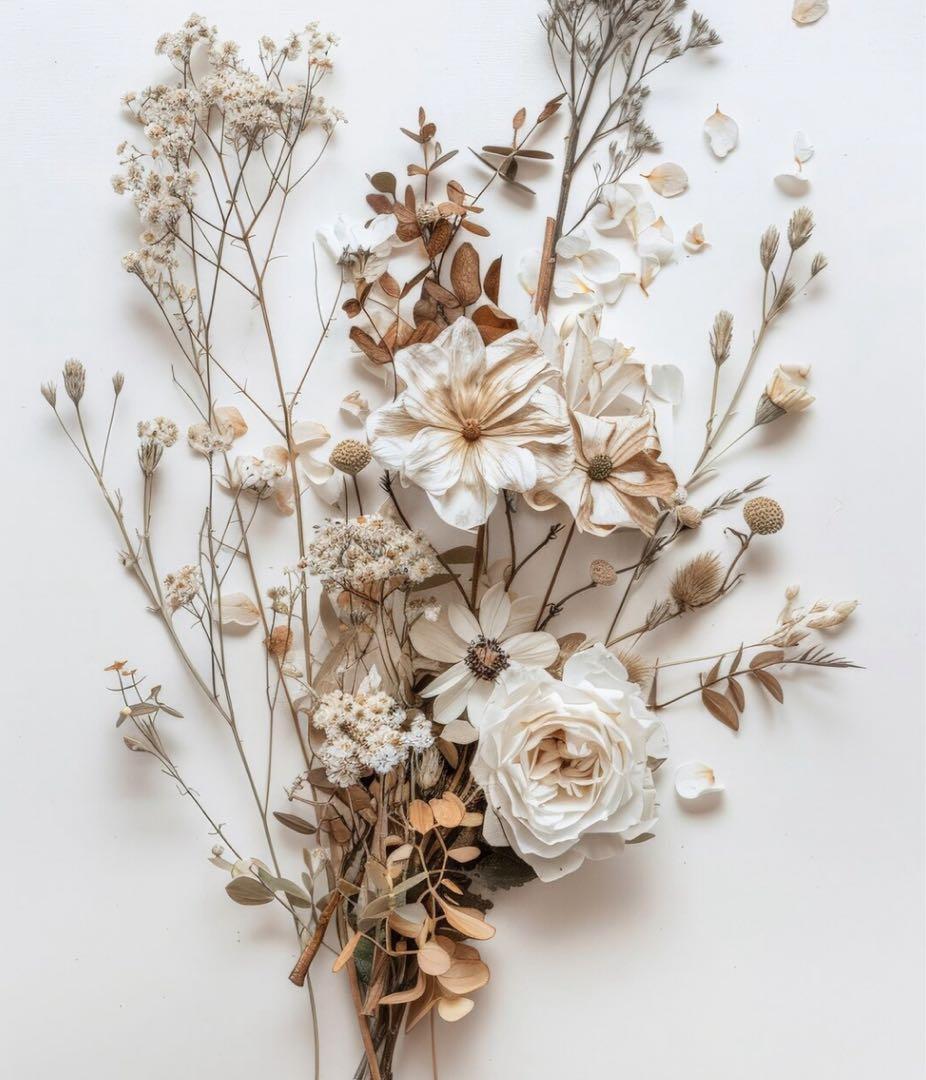 トップス omochi タケオキクチ/トップスのアウトレット通販｜三井アウトレットパーク