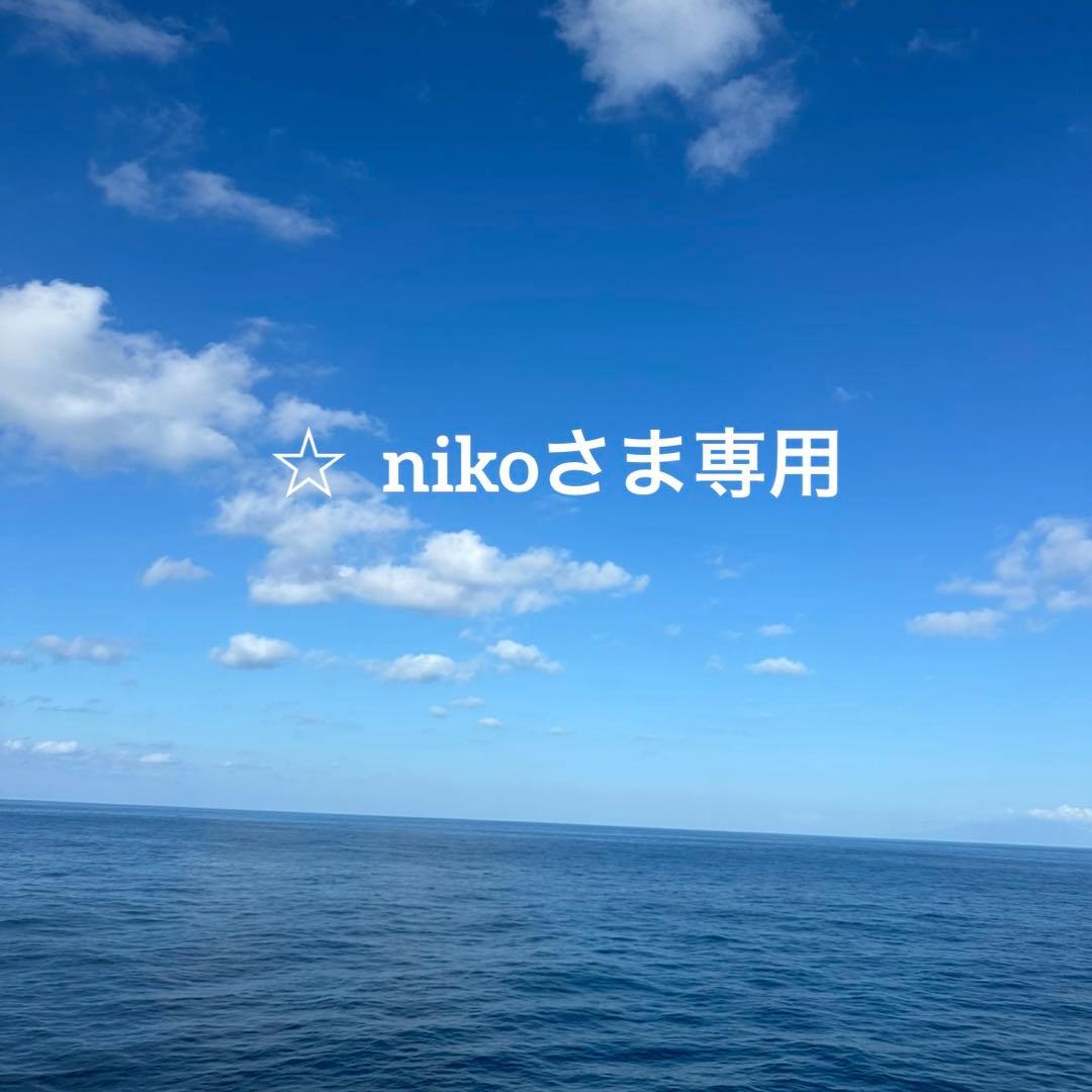 遠野霊石スティックおまとめ 遠野の霊石さざれ100g 高波動！高浄化！保冷＆保温効果！遠赤外線